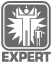 expert